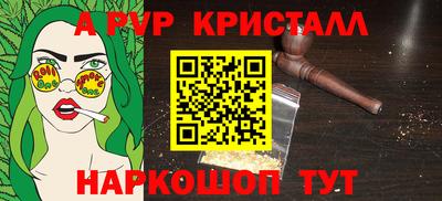 амф Кингисепп