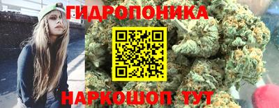 амф Кингисепп
