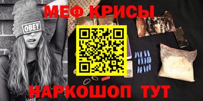 амф Кингисепп